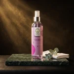 paris stars cat mists